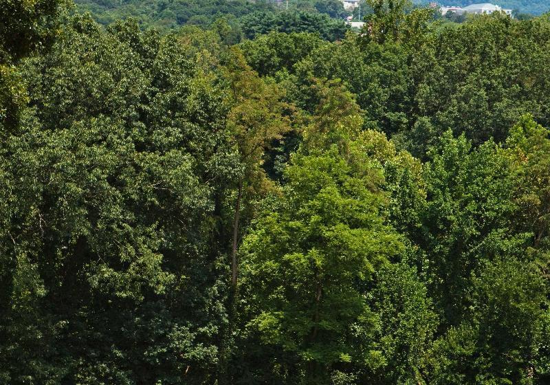 Crowne Plaza Resort Asheville, An Ihg