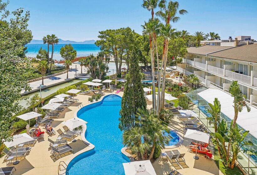 Отель Allsun Orquidea Playa