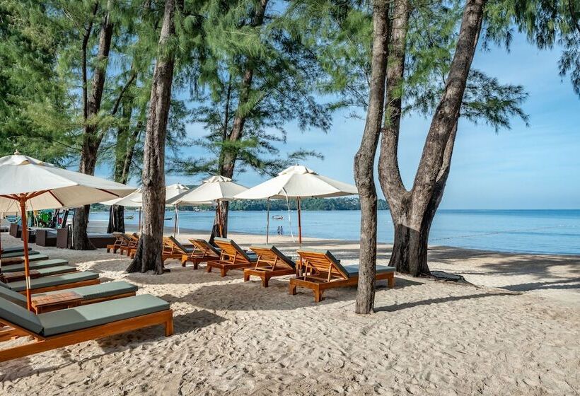 هتل Amora Beach Resort Phuket