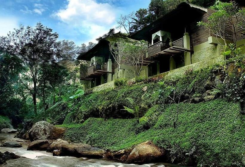 Maya Ubud Resort & Spa