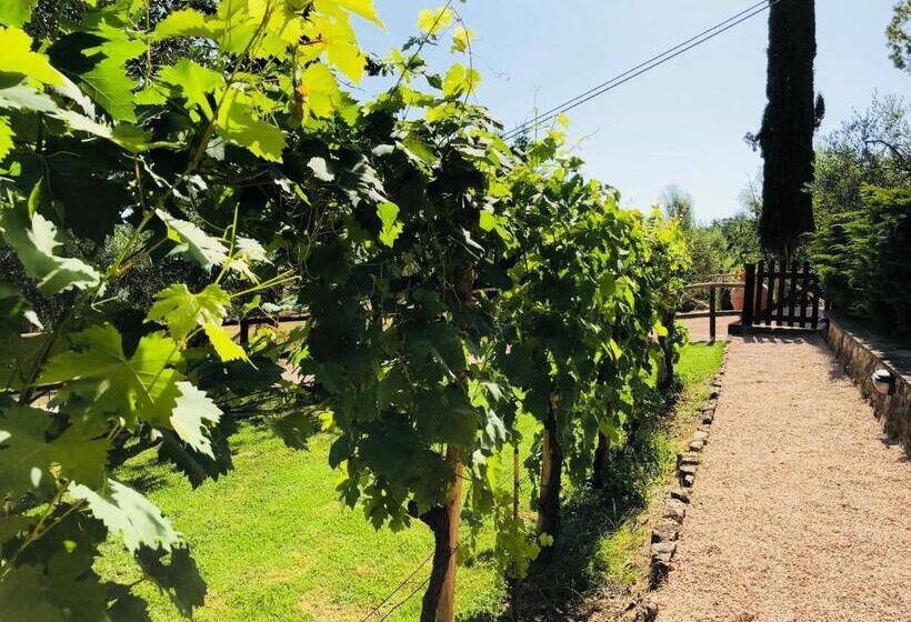 호텔 Agriturismo Borgo Il Bonagino