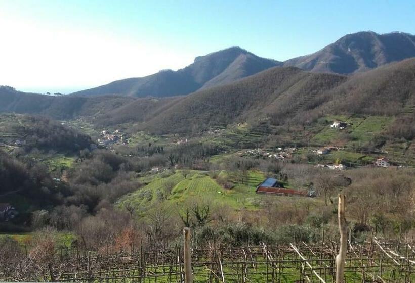 בית מלון כפרי La Casa In Vigna