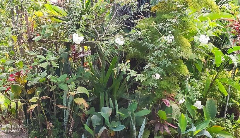 پانسیون Pousada Peki