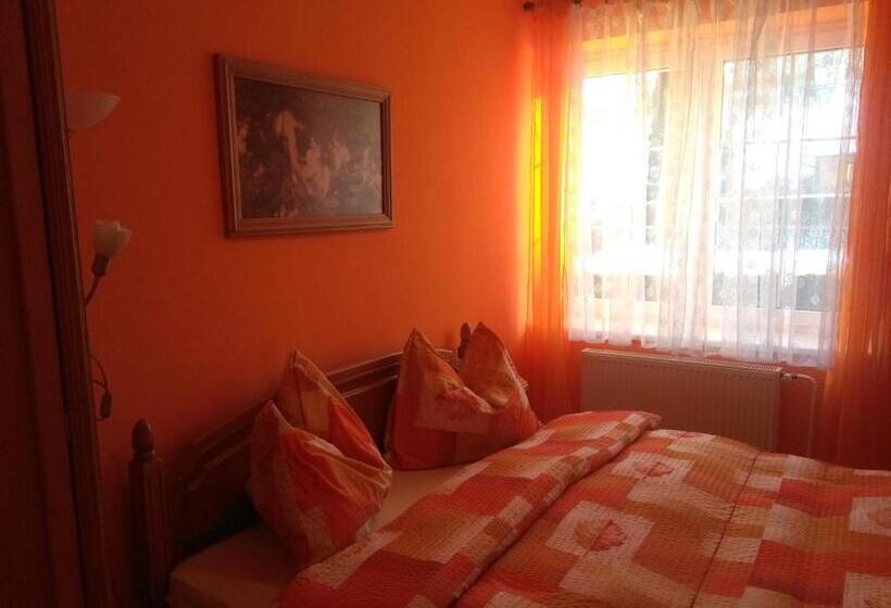 پانسیون Vila Patricie