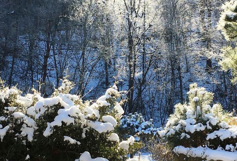 בית מלון כפרי Tirol Pension