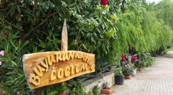 Ala Otel Konukevi Agva