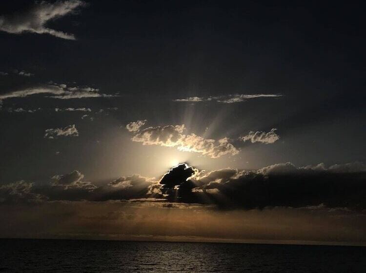 پانسیون Twins