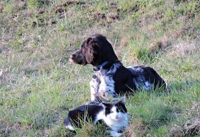 צימר Gästehaus Klopfer