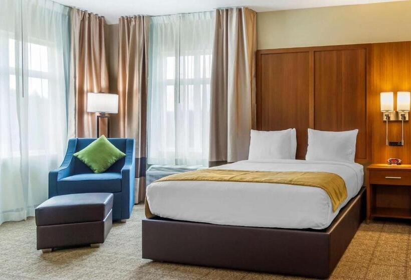 هتل Comfort Inn & Suites Lakewood By Jblm