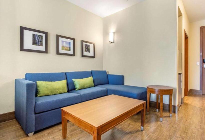 هتل Comfort Inn & Suites Lakewood By Jblm