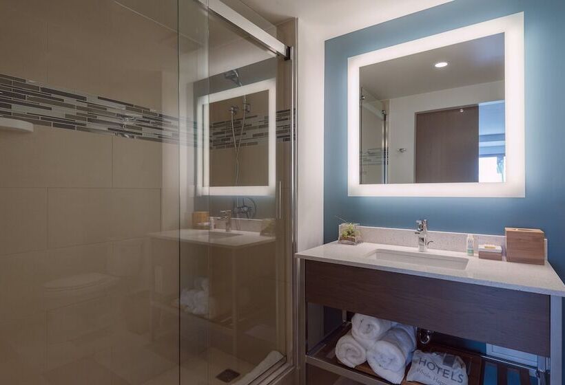 Even Hotels   Shenandoah   The Woodlands, An Ihg