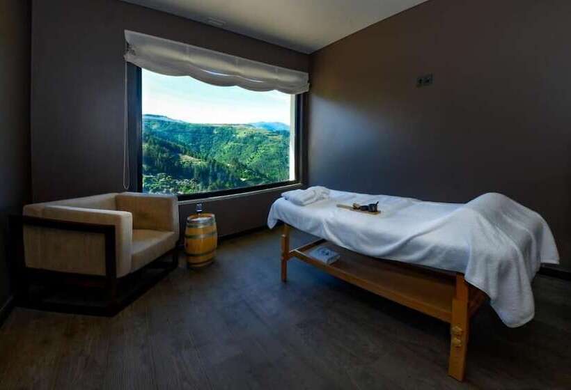 فندق Mw Douro Wine & Spa