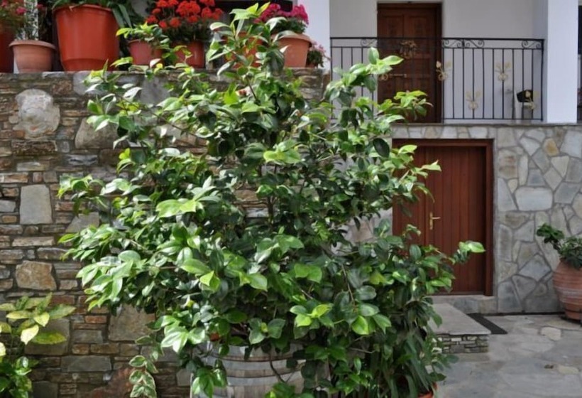 پانسیون Marika Vlachou