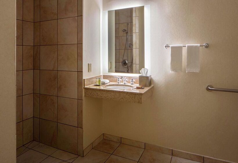 בית מלון כפרי Doubletree Suites By Hilton Minneapolis Downtown