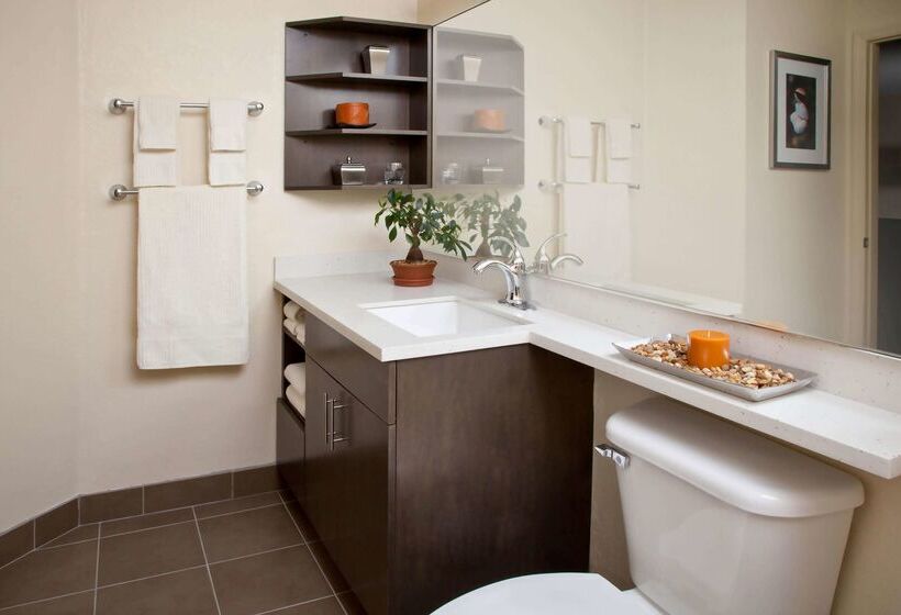 酒店 Sonesta Simply Suites Parsippany Morris Plains