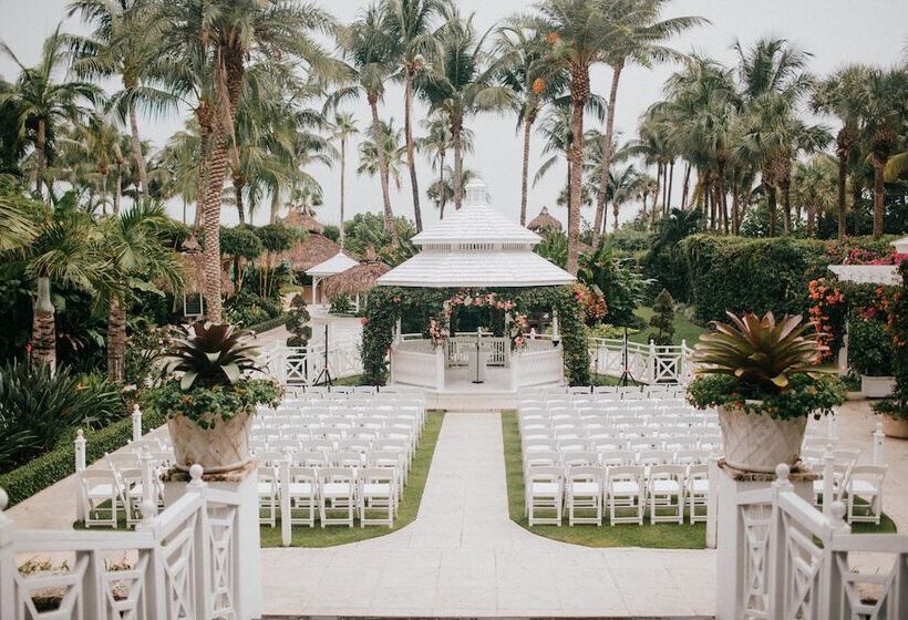 The Palms Hotel & Spa