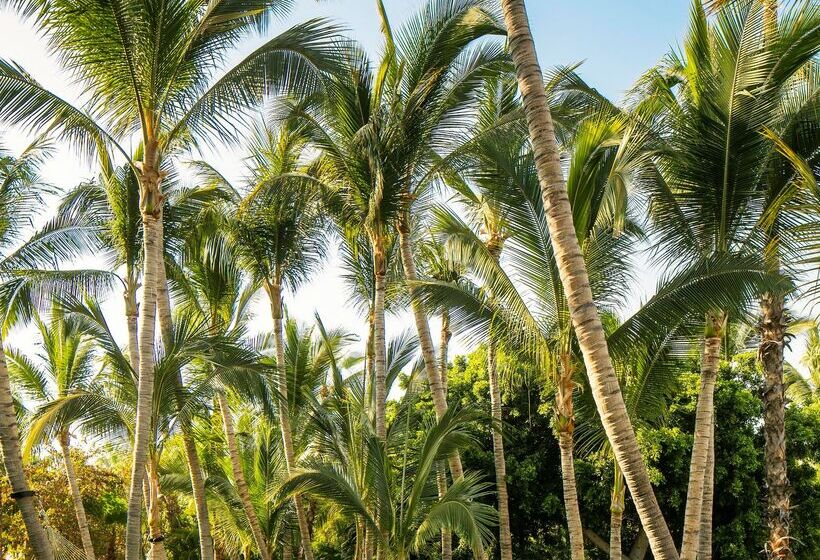 استراحتگاه One&only Palmilla