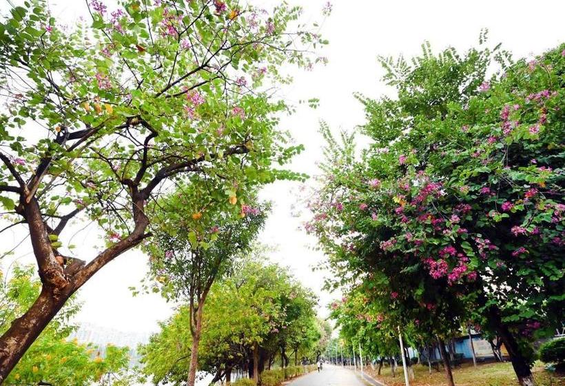 호텔 Lavande  Dongguan Songshan Lake Huawei