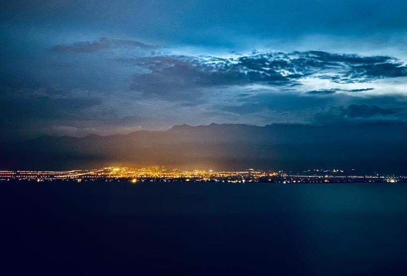 پانسیون 1979 Treeinn