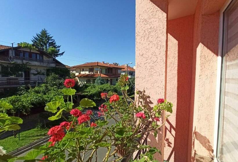 پانسیون Art Villa Rozalia