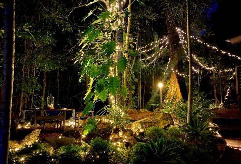 تختخواب و صبحانه Cairns Rainforest Retreat