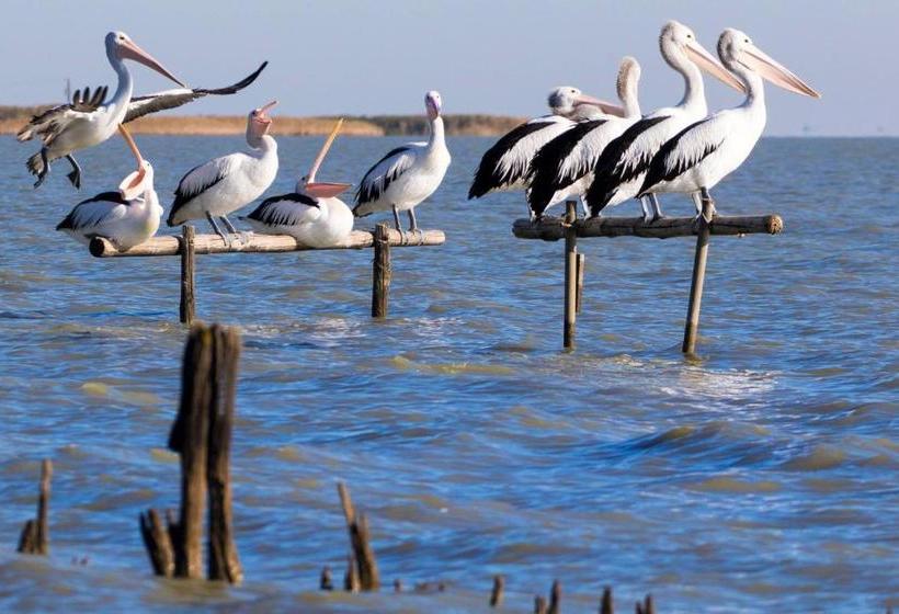 פנסיון Pelican Perch Retreat