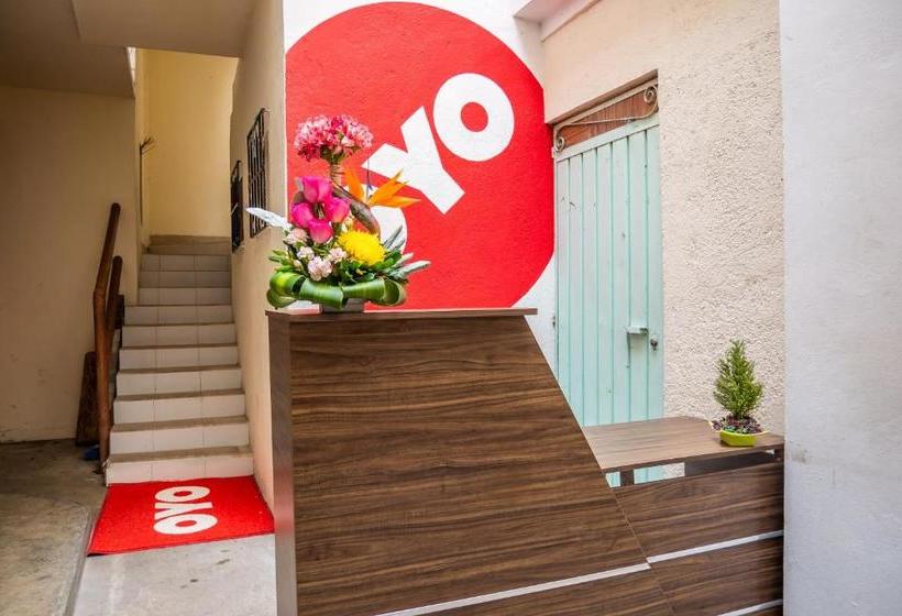 بنسيون Las Flores