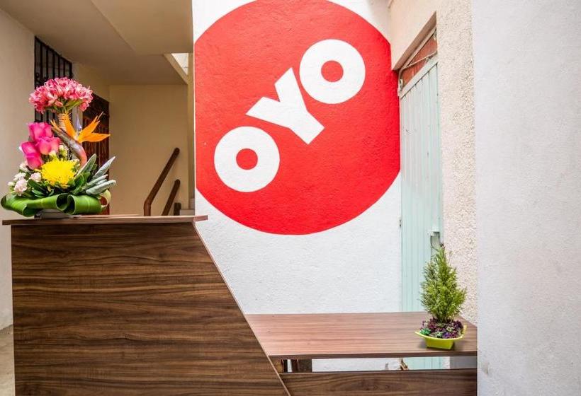 بنسيون Las Flores