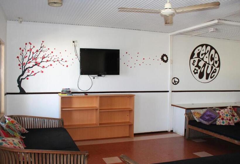 הוסטל Roey Backpackers And Party Bar