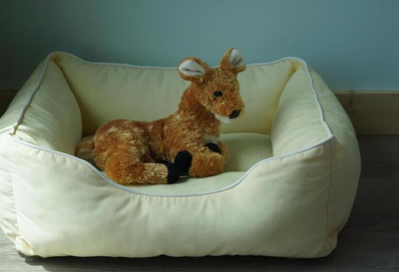 مبيت وإفطار Deer Run On The Atlantic