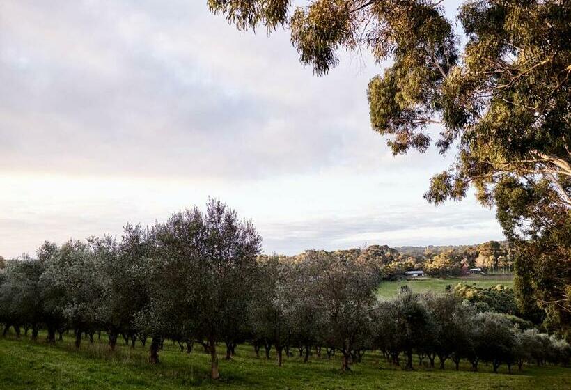 住宿加早餐  Hart's Farm