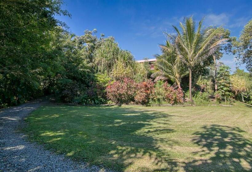 Daintree Manor B&b