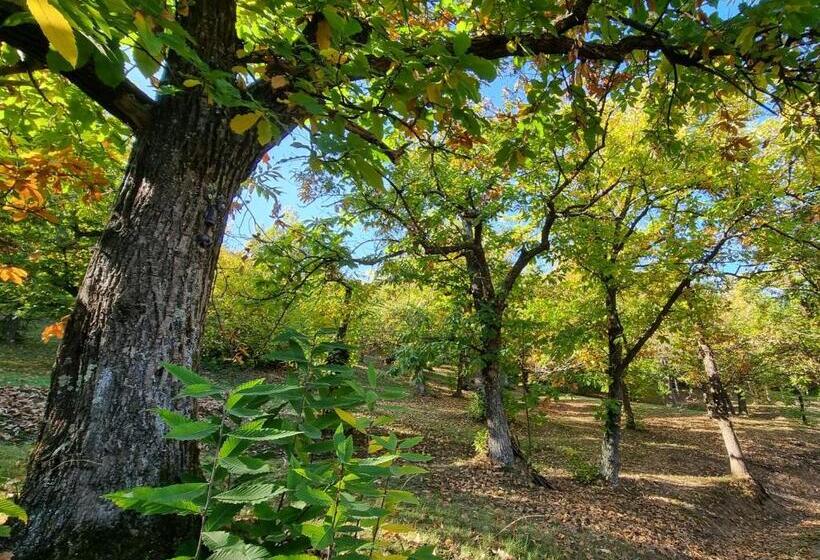 호텔 La Botalla Agriturismo