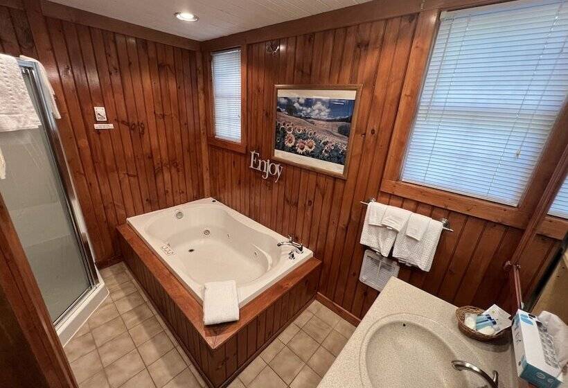 هتل Smoky Falls Lodge