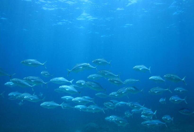 리조트 Mackerel Islands