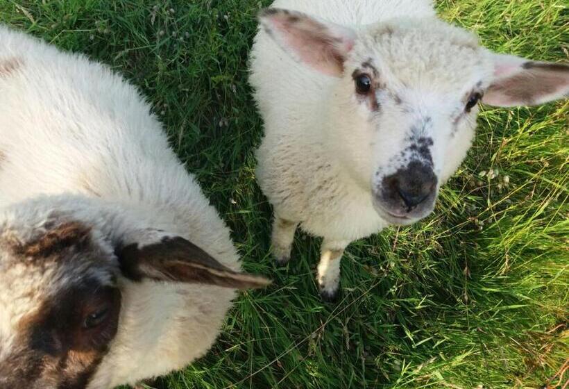 پانسیون Horska Chata Svetlanka