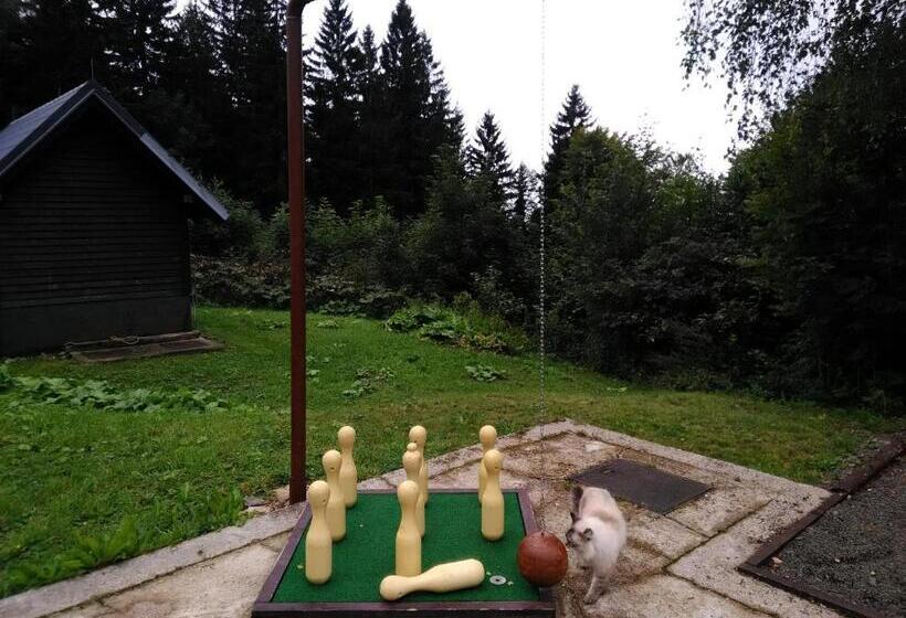 پانسیون Horska Chata Svetlanka