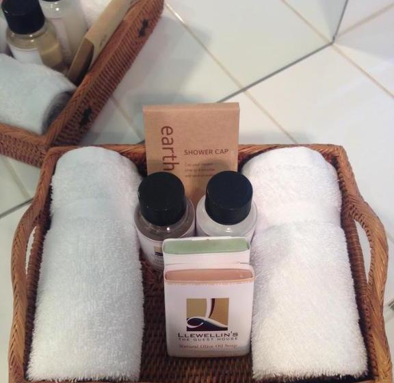 پانسیون Llewellin S Guest House