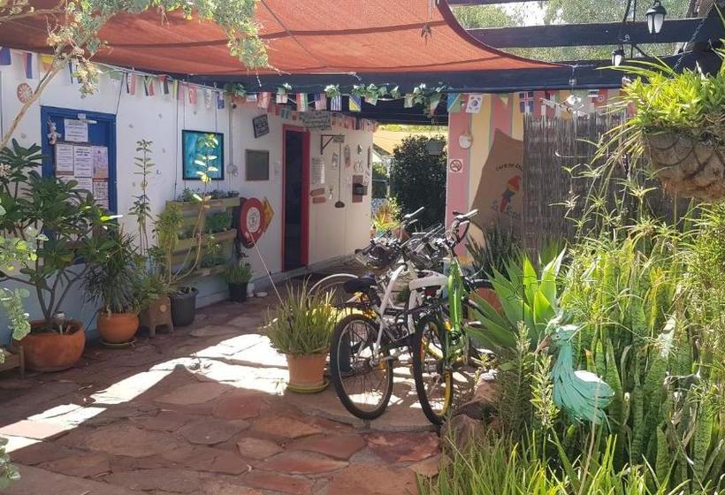 هاستل Alice's Secret Travellers Inn