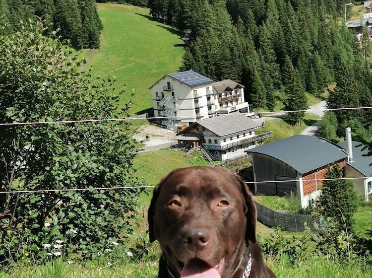 ユースホステル Alpengasthof Tanzstatt