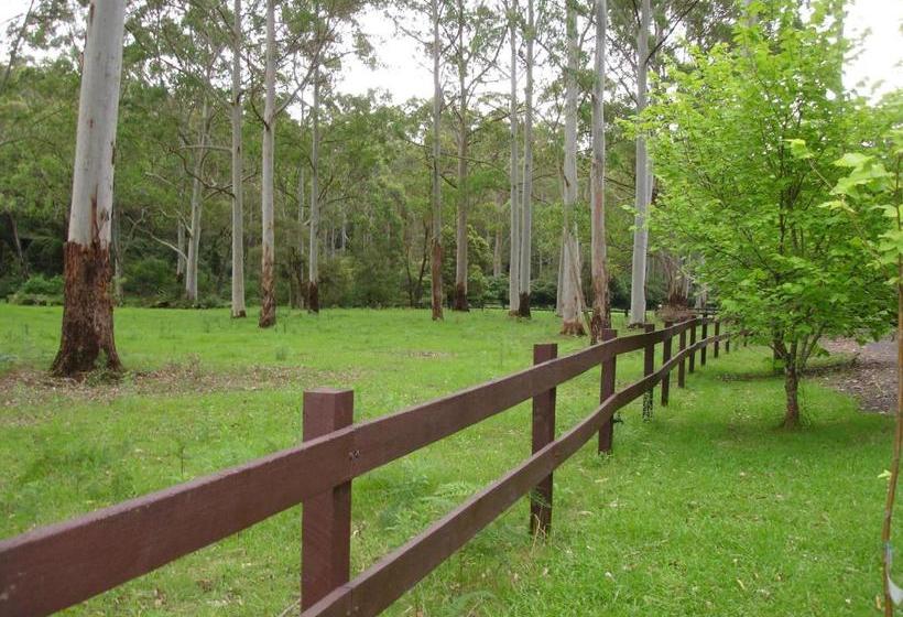 مبيت وإفطار Dingley Dell