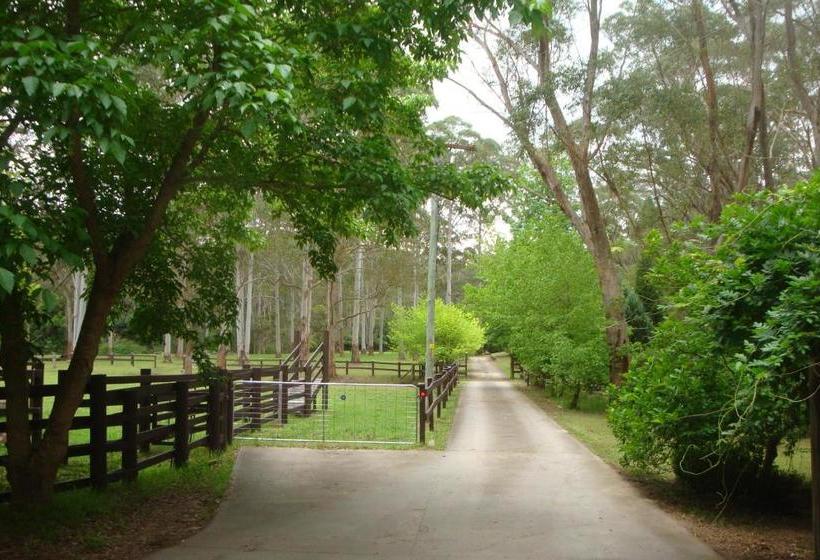 مبيت وإفطار Dingley Dell