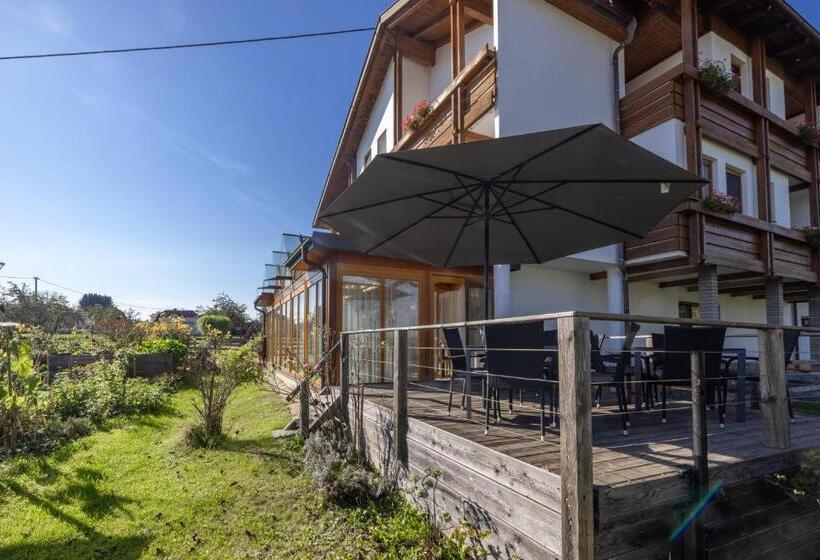 Отель Bauernhof Pension Hofmayer