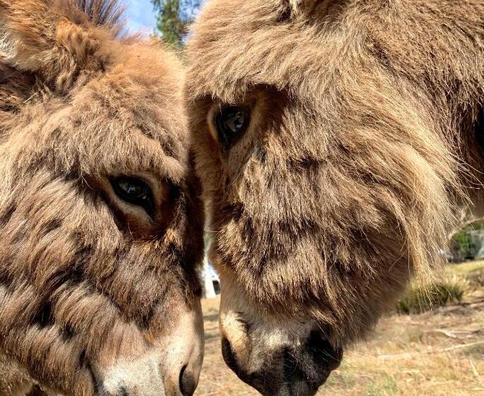 فندق Heimat Farmstay