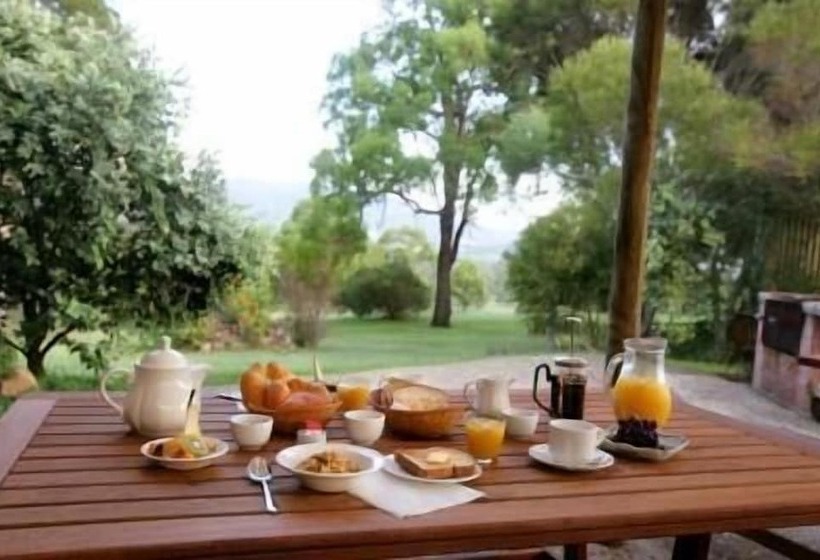 پانسیون Elfin Hill Vineyard Accommodation