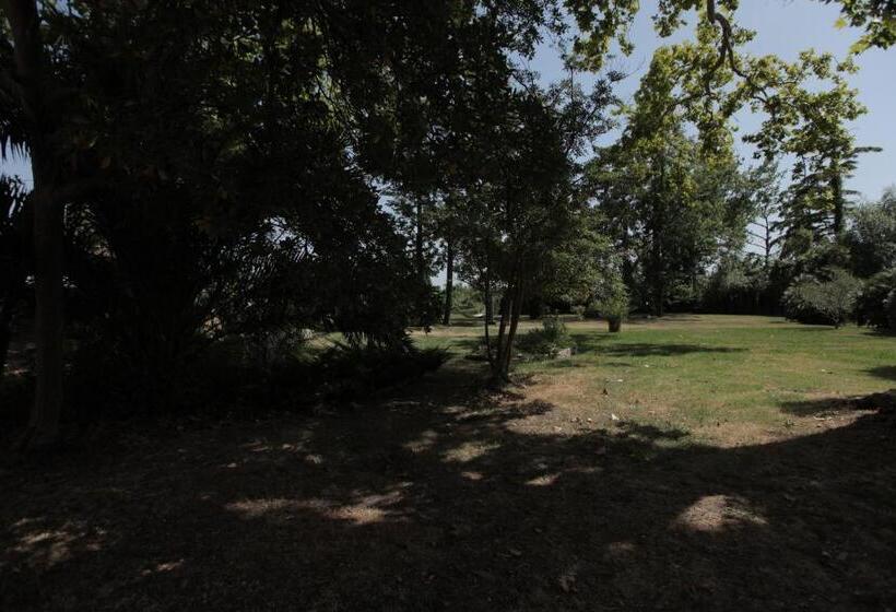 Piaggetta B&b