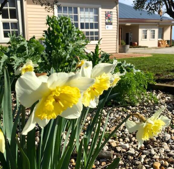 צימר Cable Station Accommodation