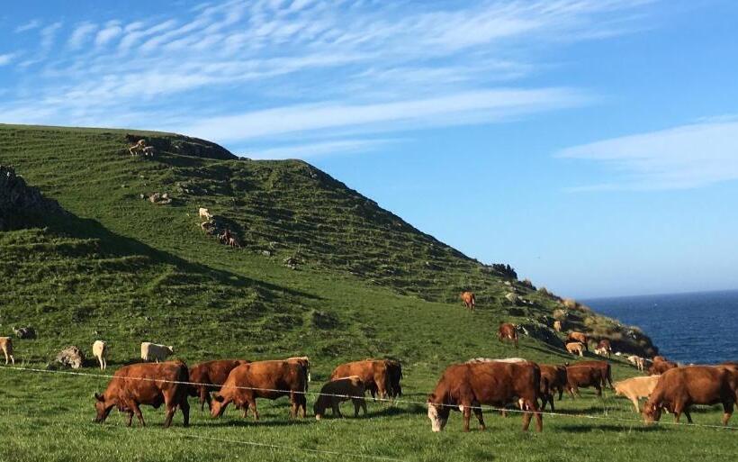 مبيت وإفطار Cable Station Accommodation