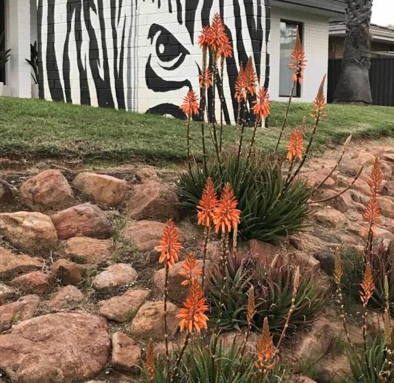 بنسيون Zebras Guesthouse