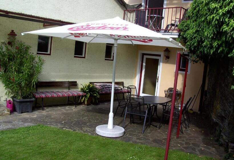 住宿加早餐  Frühstückspension Leopold Janu